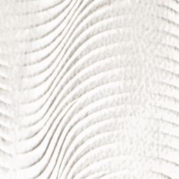 Carbon 10